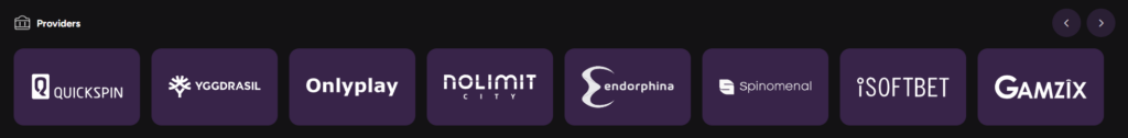 Casiny Casino Providers list page