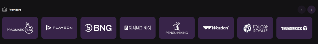 Casiny Casino Providers list page