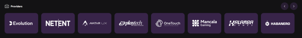 Casiny Casino Providers list page